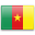 Flagge Kamerun